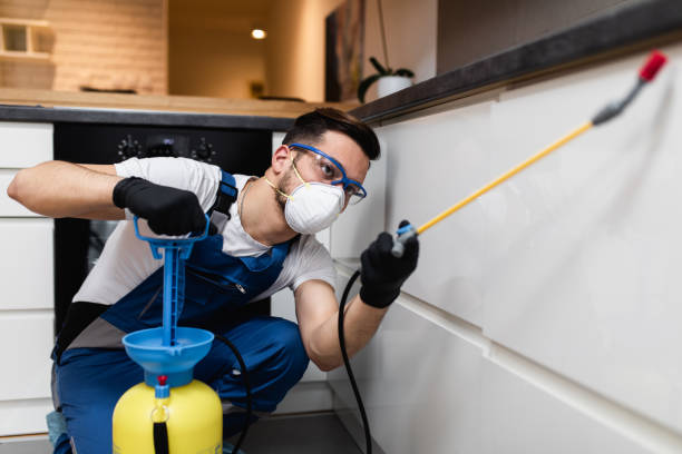 Best Best Pest Control Companies  in Aransas Pass, TX