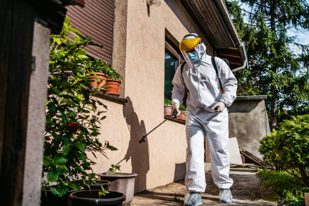 Best Flea Control Services  in Aransas Pass, TX