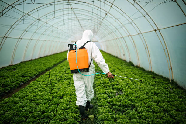 Best Mosquito Control Services  in Aransas Pass, TX