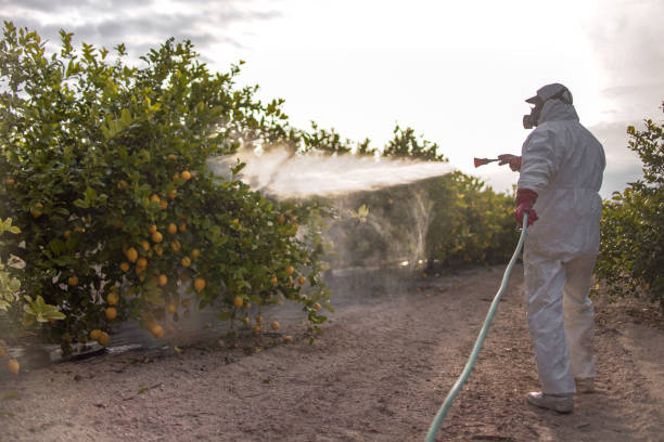 Best Best Pest Control Companies  in Aransas Pass, TX
