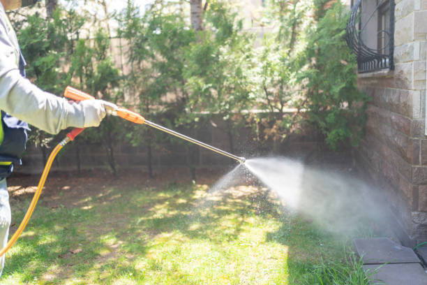 Bird Control in Aransas Pass, TX