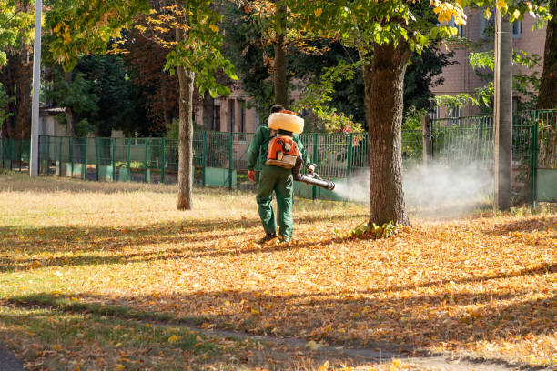 Best Commercial Pest Control Services  in Aransas Pass, TX