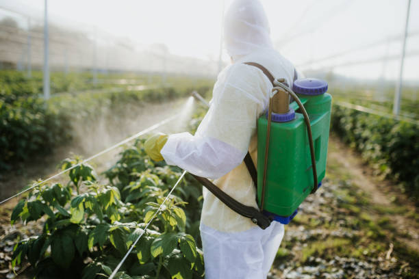 Best Wildlife Control Services  in Aransas Pass, TX